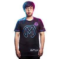 Sayaplayer